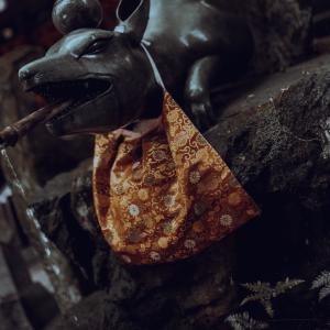 /japan_2025/Fushimi Inari Taisha 3