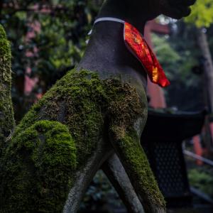 /japan_2025/Fushimi Inari Taisha 4