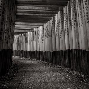 /japan_2025/Fushimi Inari Taisha 6