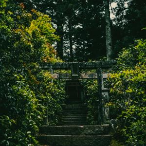 /japan_2025/Itsukushima 2