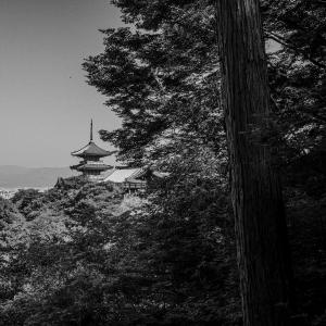 /japan_2025/Kiyomizu-dera 2