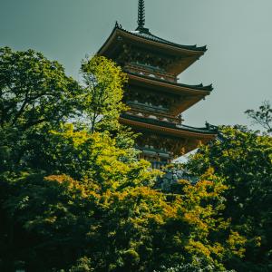 /japan_2025/Koyasu-no-to Pagoda