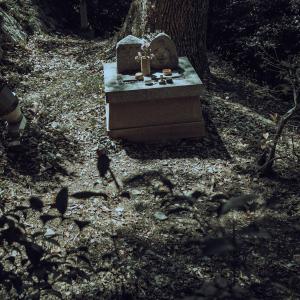 /japan_2025/Kyoto Shrine