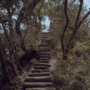 /japan_2025/Steps at Lake Kawaguchi